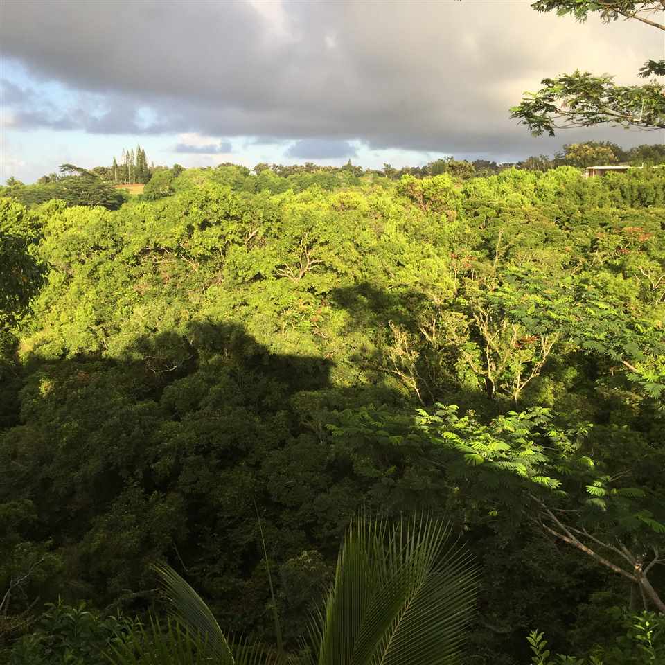 1127 Kauhikoa Road Haiku, HI 96708 - Photo 25 of 25 Gallery Image 25
