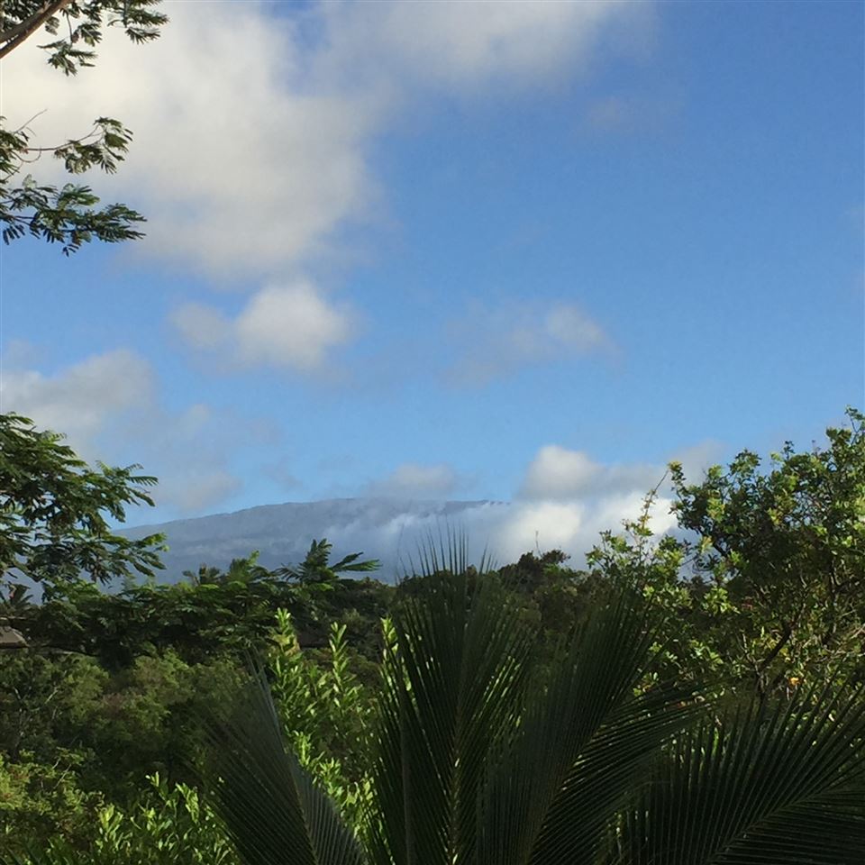 1127 Kauhikoa Road Haiku, HI 96708 - Photo 4 of 25 Gallery Image 4