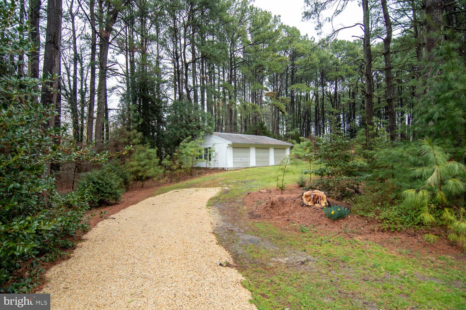 4316 Baildon Road Trappe, MD 21673 - Photo 61 of 64 Gallery Image 61