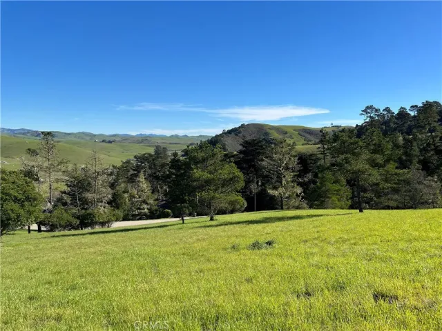 a view of green field with mountains in the background