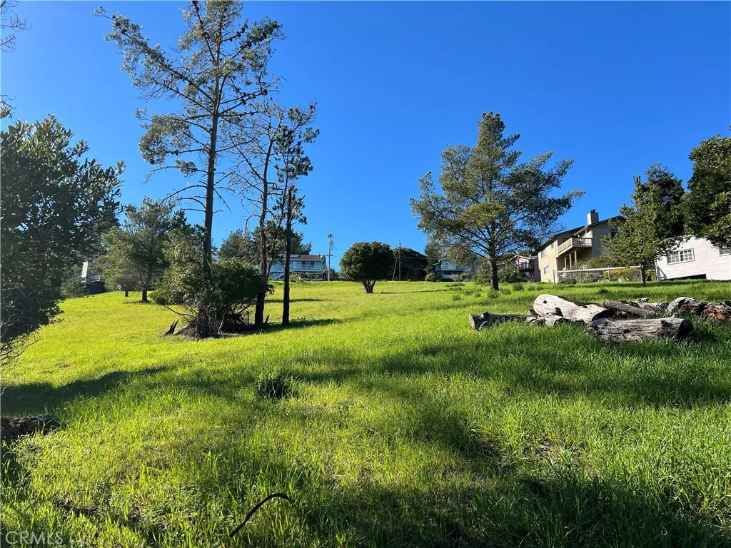 0 London Cambria, CA 93428 - Photo 6 of 10 a view of a park with large trees