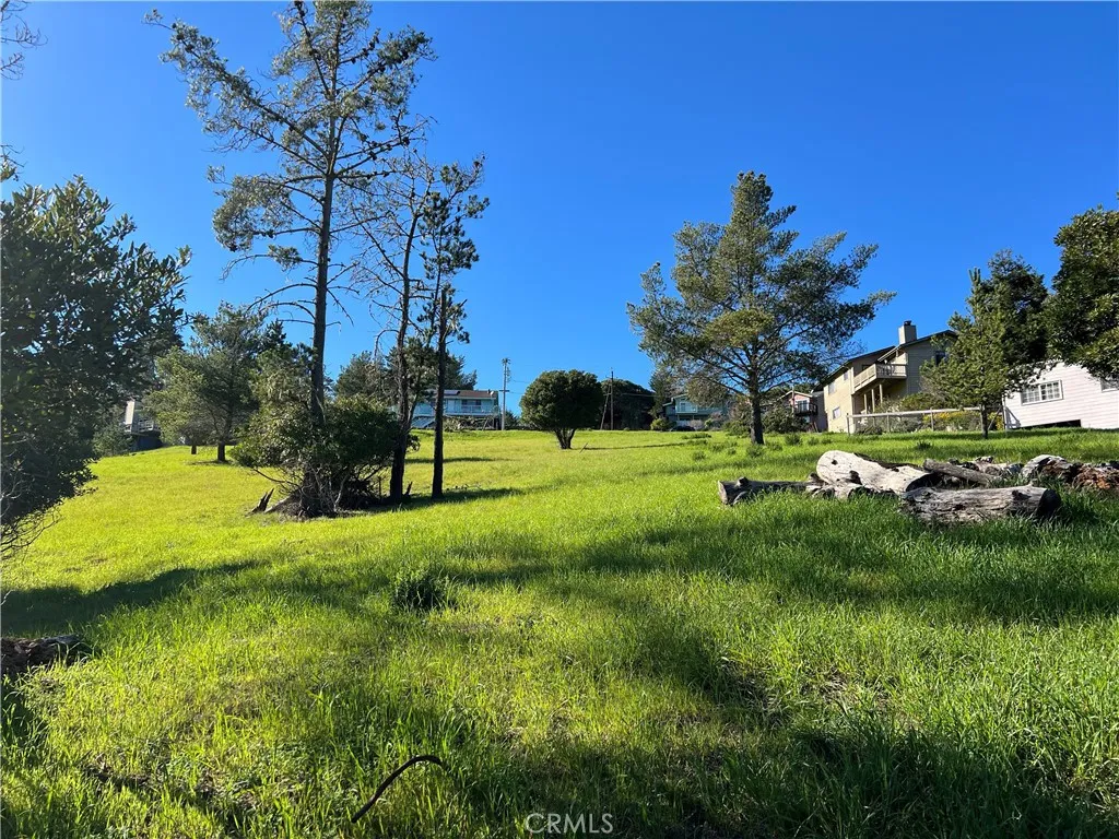 0 London Cambria, CA 93428 - Photo 6 of 10 a view of a park with large trees
