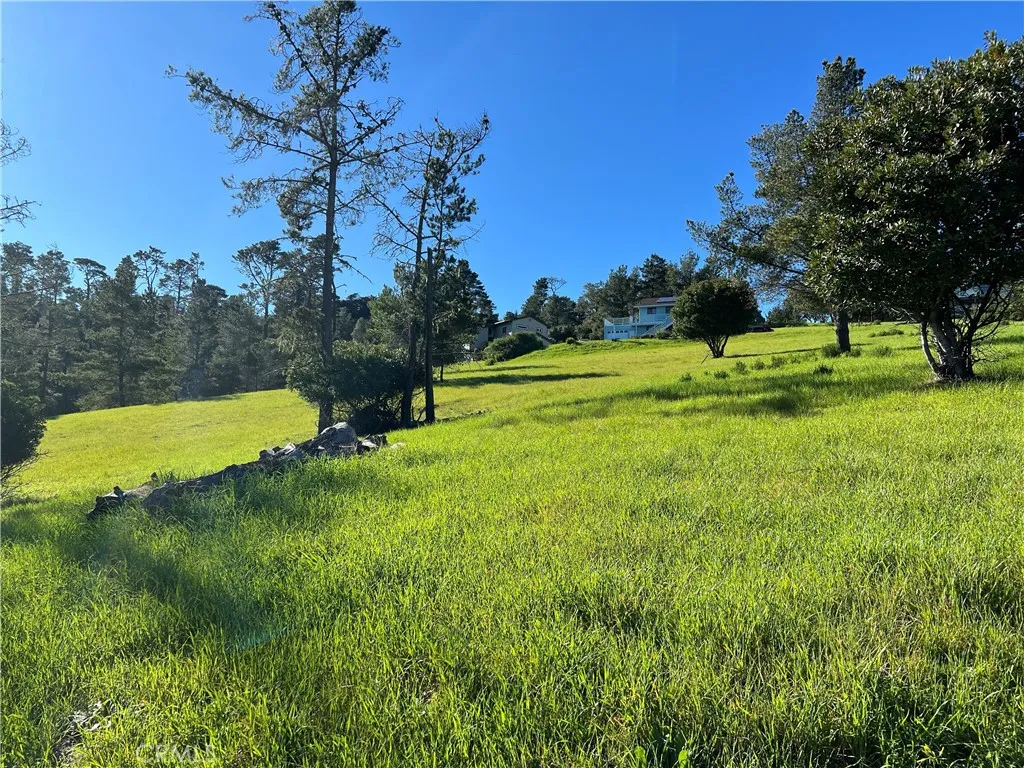 0 London Cambria, CA 93428 - Photo 7 of 10 a view of a golf course with a lake view