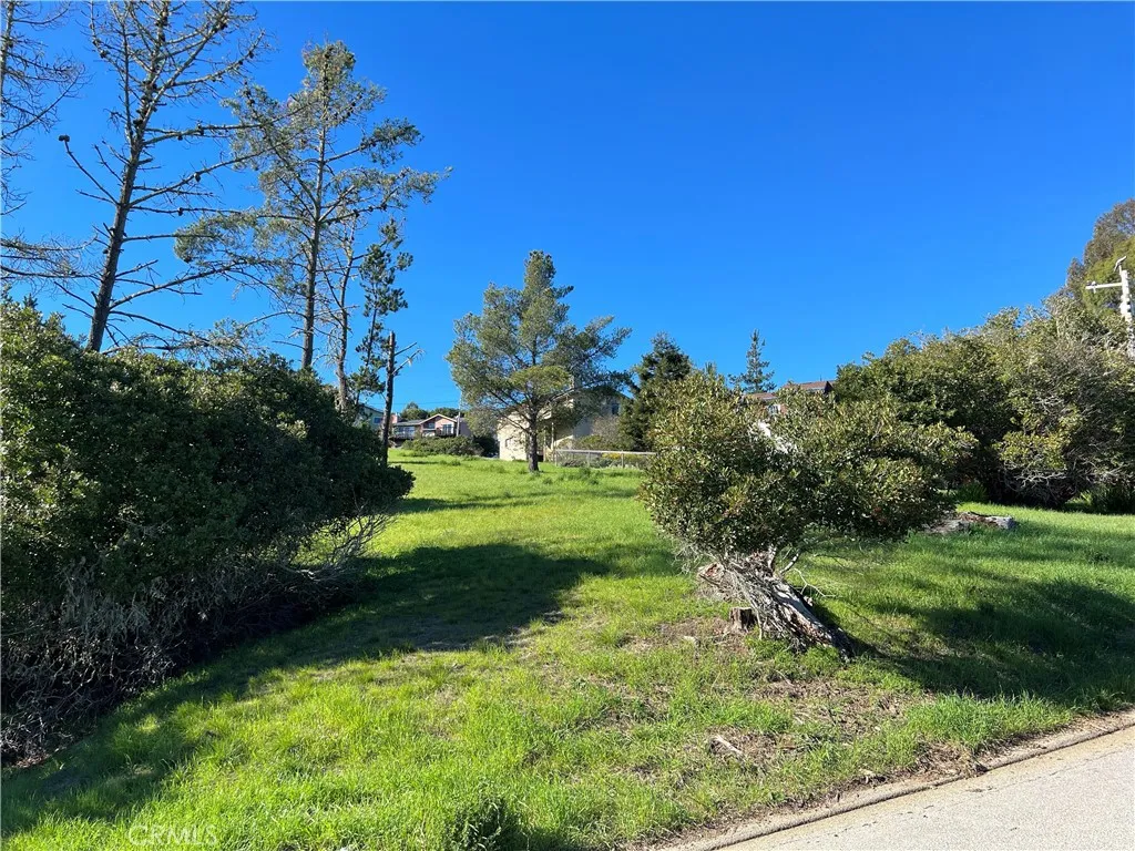 0 London Cambria, CA 93428 - Photo 8 of 10 a view of a garden with a tree