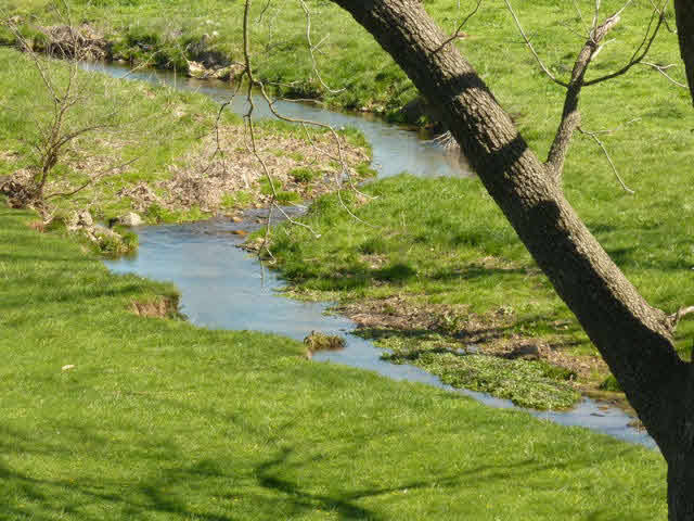 210 Wolf Ridge Road Bridgewater, VA 22812 - Photo 12 of 12 a backyard of a house with lots of green space