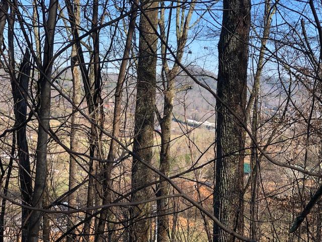 Wilderness Mountain Road Sevierville, TN 37862 - Photo 1 of 2 IMG_1895