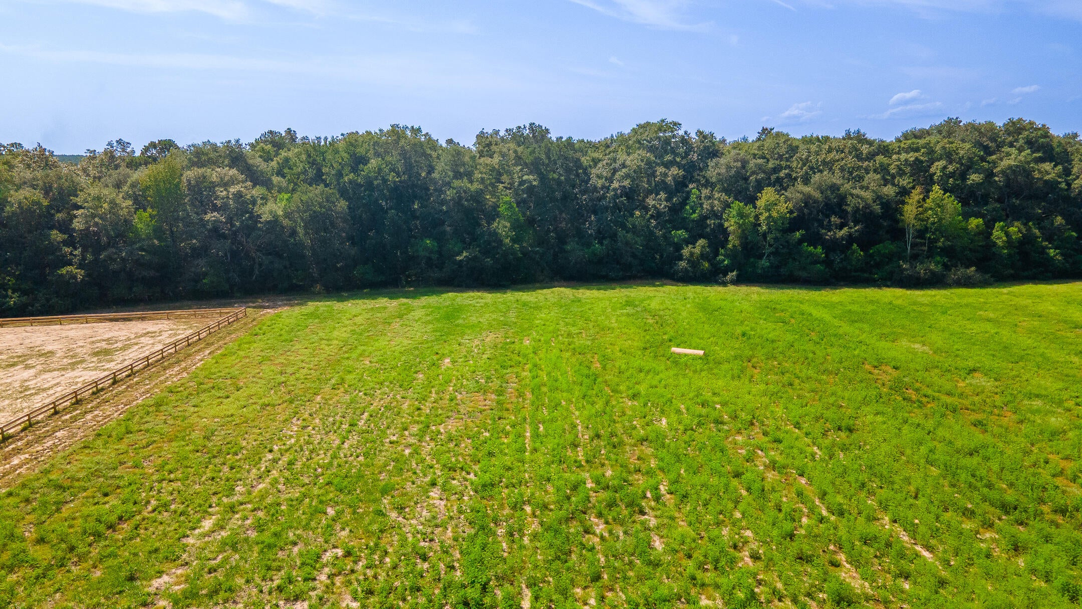 2122 New Holland Road Wagener, SC 29164 - Photo 6 of 48 Gallery Image 6