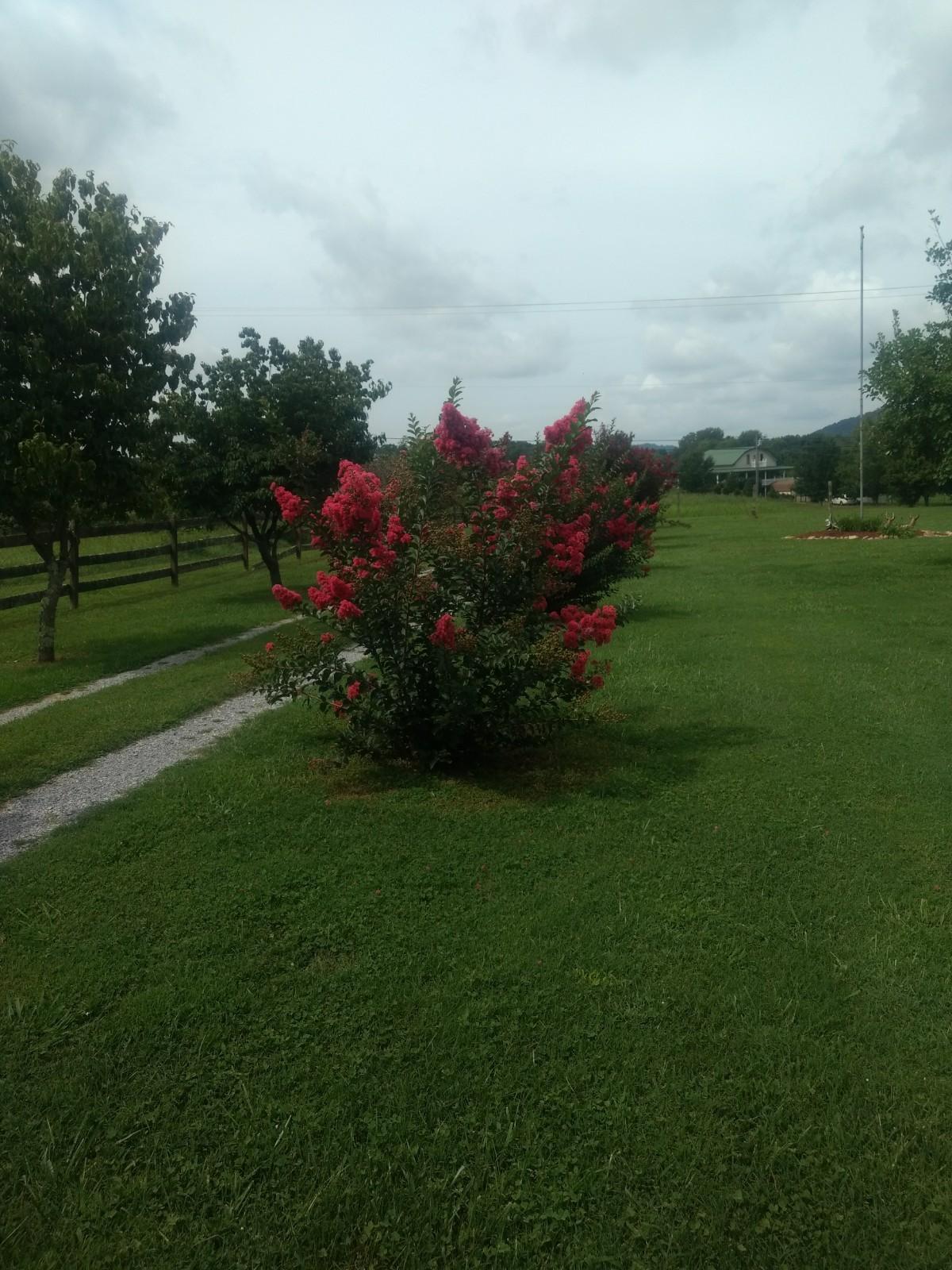 IMG_20200827_122648569