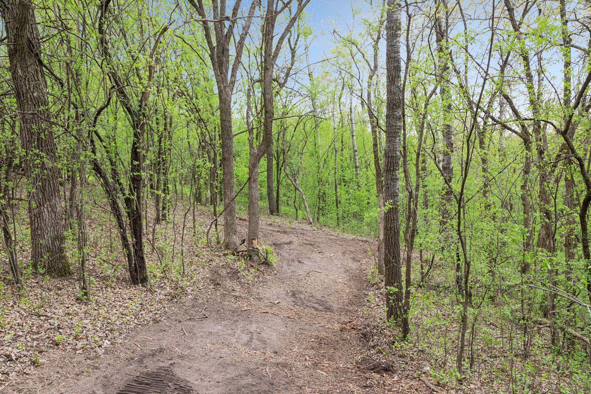 899 Gavin Pass Hudson, WI 54016 - Photo 54 of 63