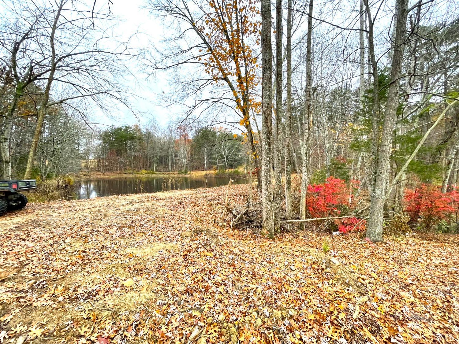0 Dickerson Mill Road Moneta, VA 24121 - Photo 1 of 32 Gallery Image 1