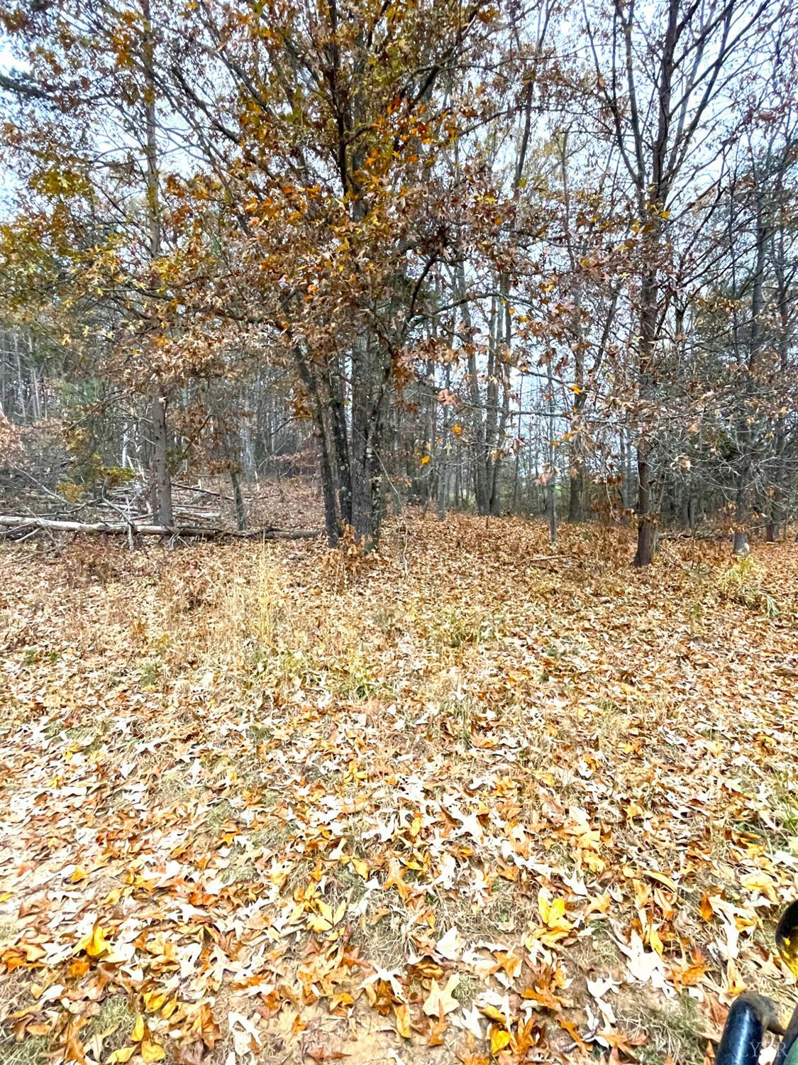 0 Dickerson Mill Road Moneta, VA 24121 - Photo 15 of 32 Gallery Image 15