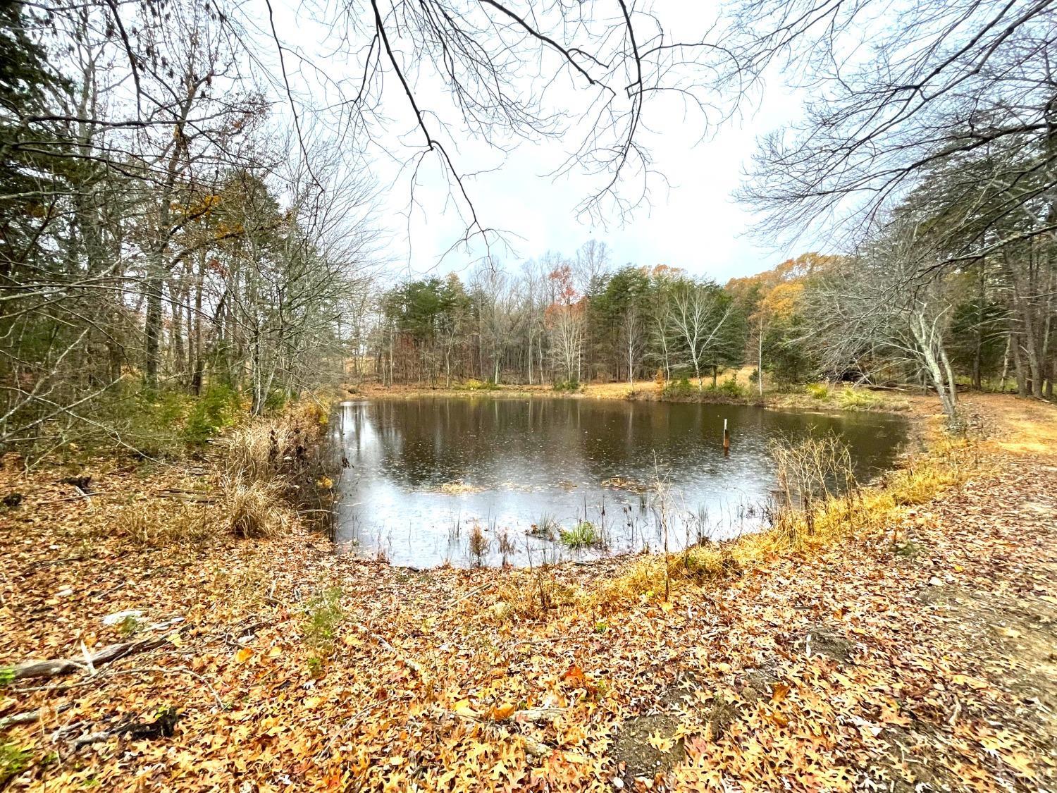 0 Dickerson Mill Road Moneta, VA 24121 - Photo 3 of 32 Gallery Image 3