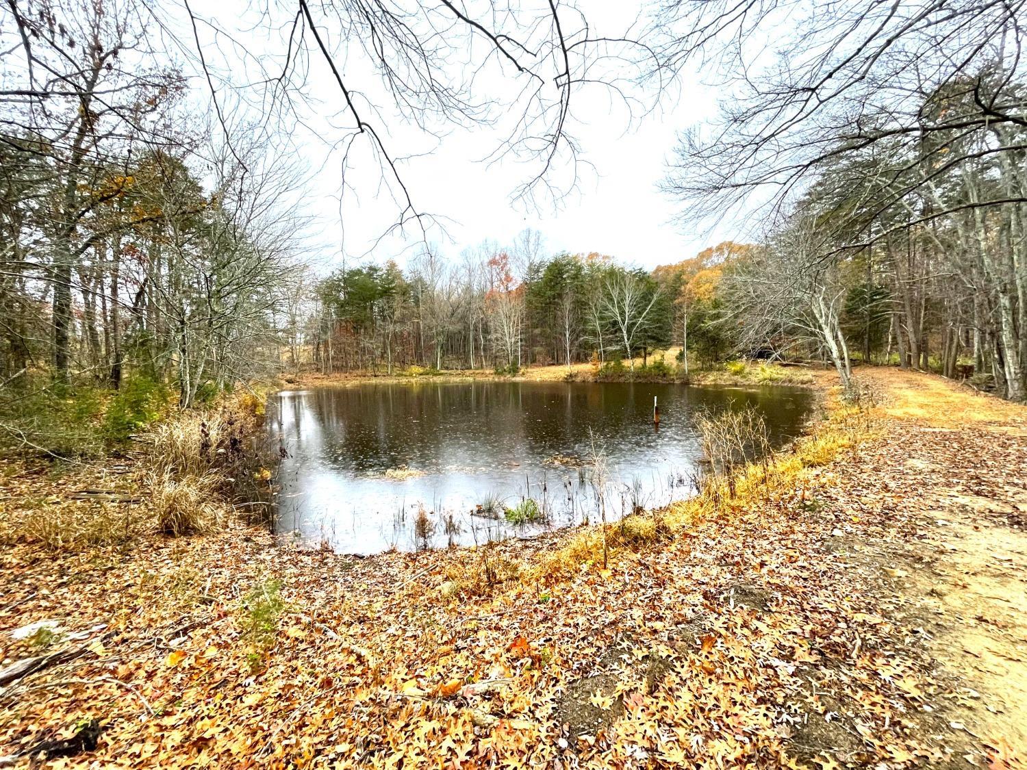 0 Dickerson Mill Road Moneta, VA 24121 - Photo 4 of 32 Gallery Image 4