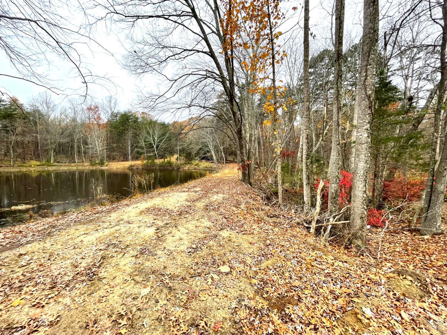 0 Dickerson Mill Road Moneta, VA 24121 - Photo 5 of 32 Gallery Image 5