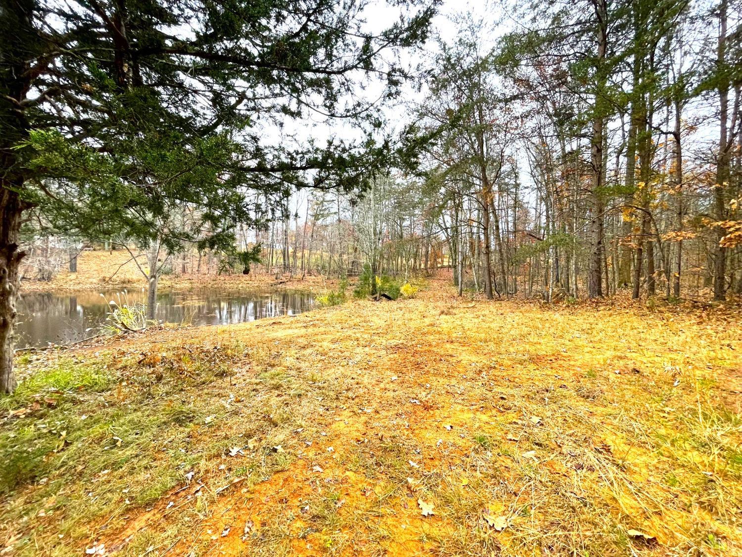 0 Dickerson Mill Road Moneta, VA 24121 - Photo 6 of 32 Gallery Image 6