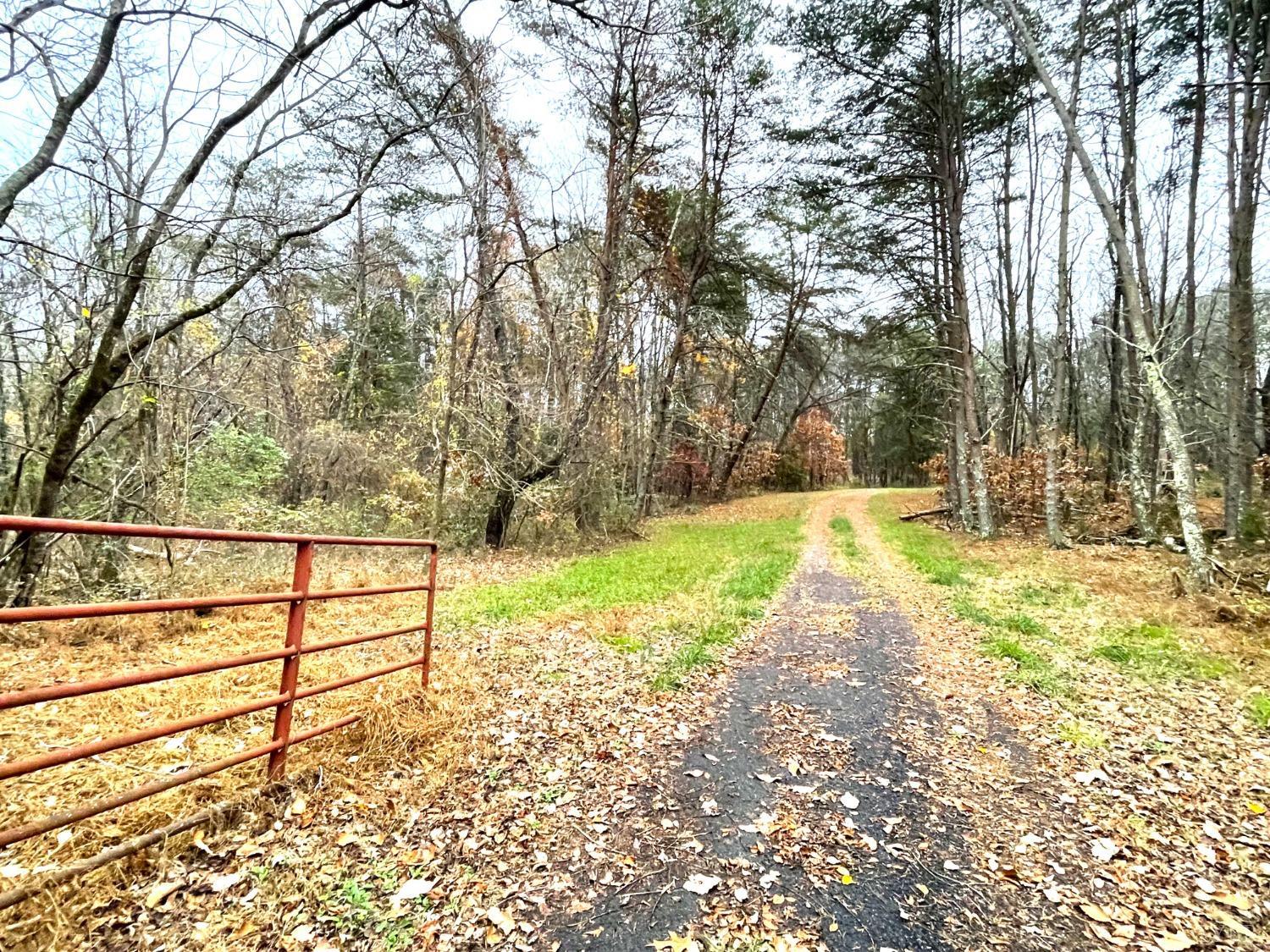0 Dickerson Mill Road Moneta, VA 24121 - Photo 7 of 32 Gallery Image 7