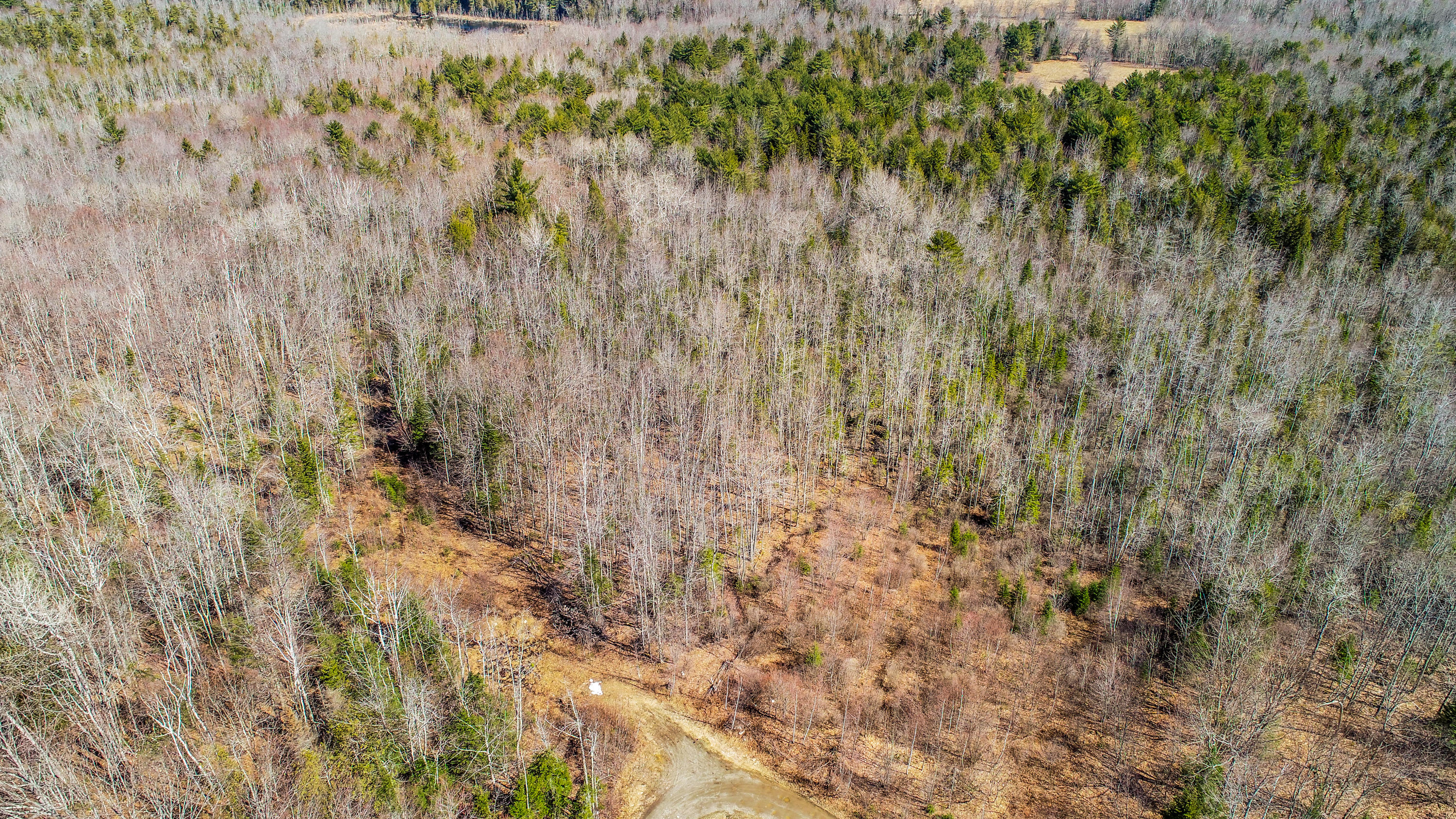 Lot 21 Belfast Road Northport, ME 04849 - Photo 17 of 23 Belfast Rd.-13