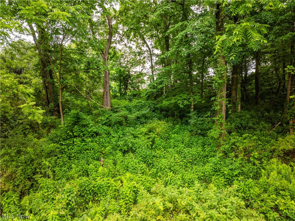 93 State Route Dundee, OH 44624 - Photo 5 of 17 Gallery Image 5