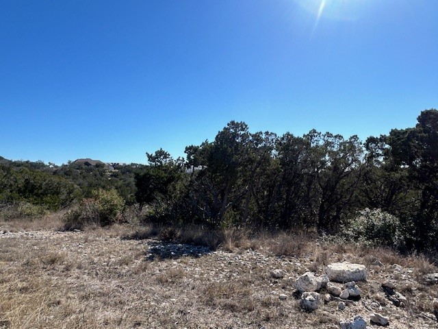 Lot 418 Private Road 1748 Road Mico, TX 78056 - Photo 5 of 16