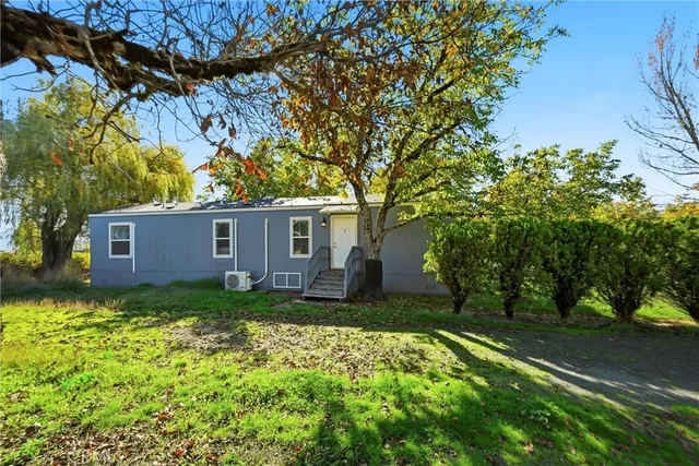 a view of a backyard with a large tree