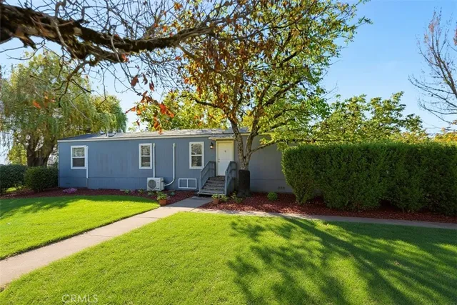 a view of a backyard with table and chairs and a large tree
