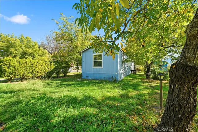 a backyard of a house with plants and large tree