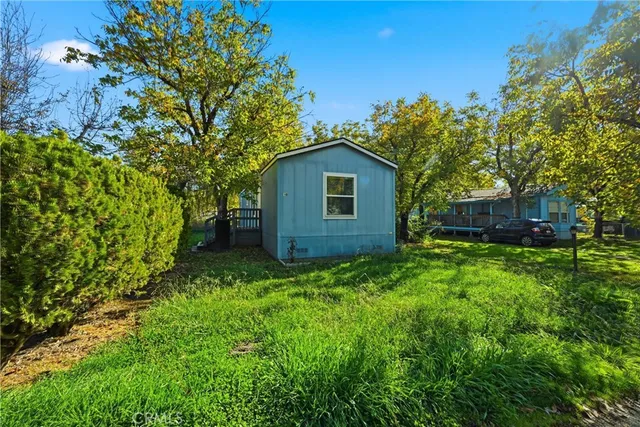 a view of a backyard with potted plants and large tree