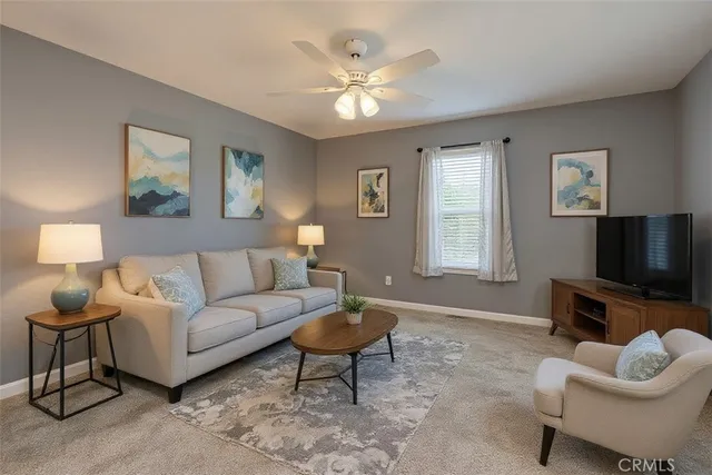 a living room with furniture a rug and a window