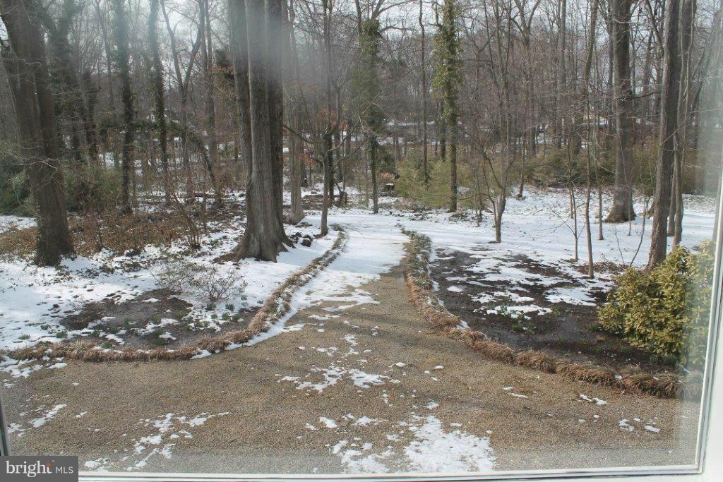 7700 Elba Road Alexandria, VA 22306 - Photo 13 of 13 Exterior (General)
