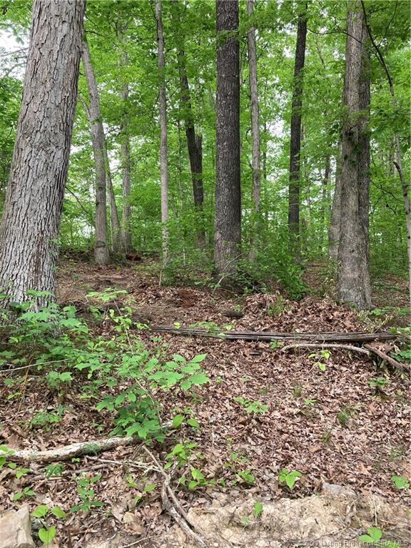 64 East State Road Marengo, IN 47140 - Photo 5 of 11