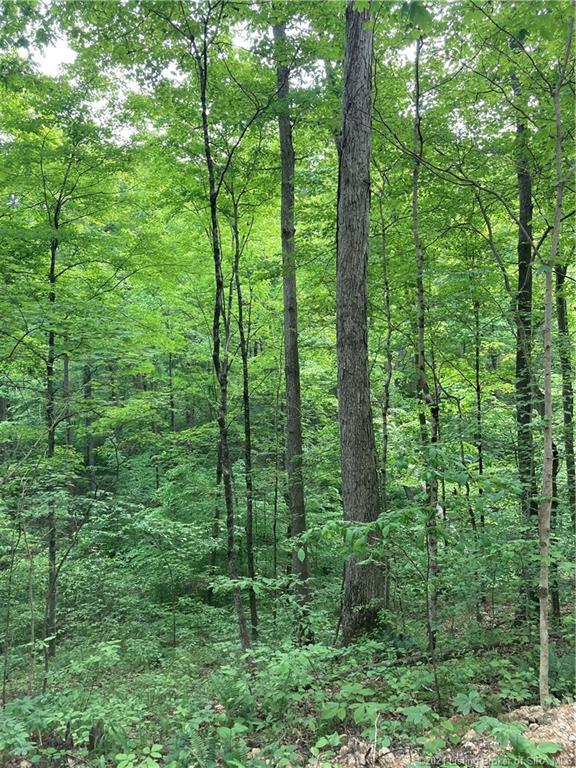 64 East State Road Marengo, IN 47140 - Photo 6 of 11