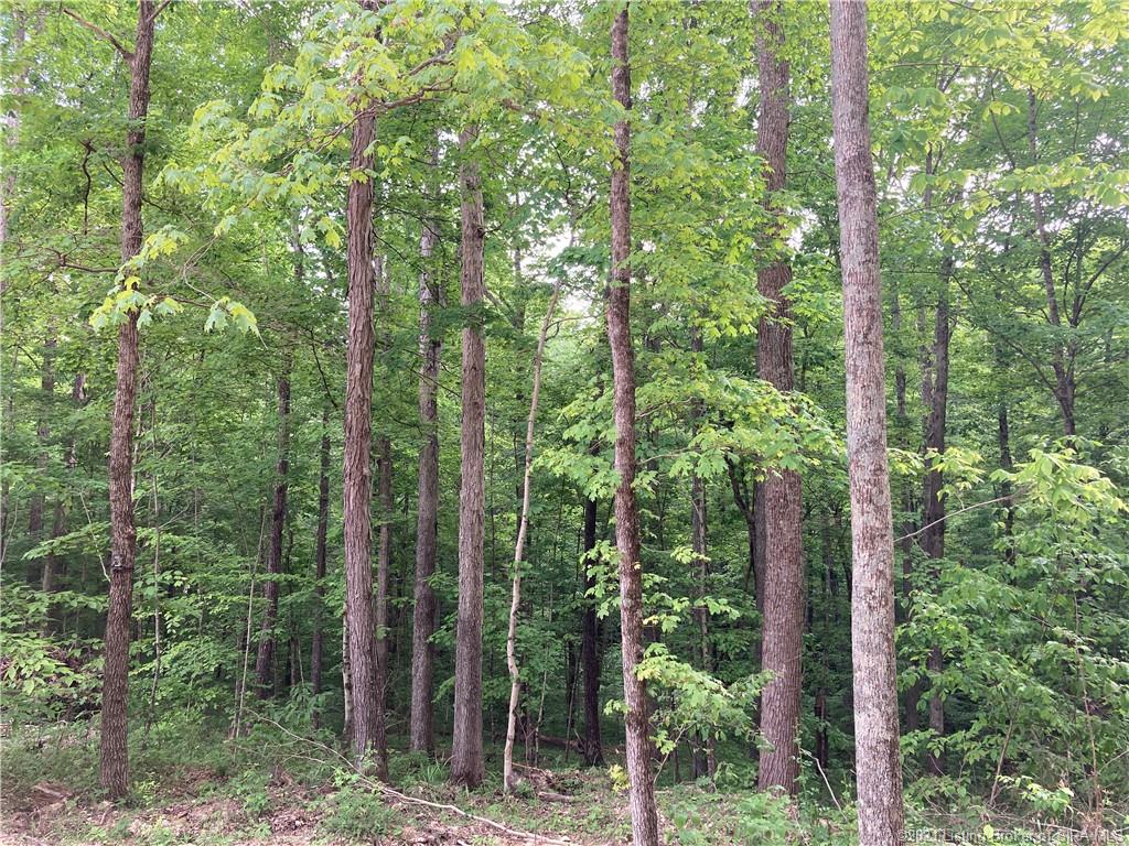 64 East State Road Marengo, IN 47140 - Photo 8 of 11