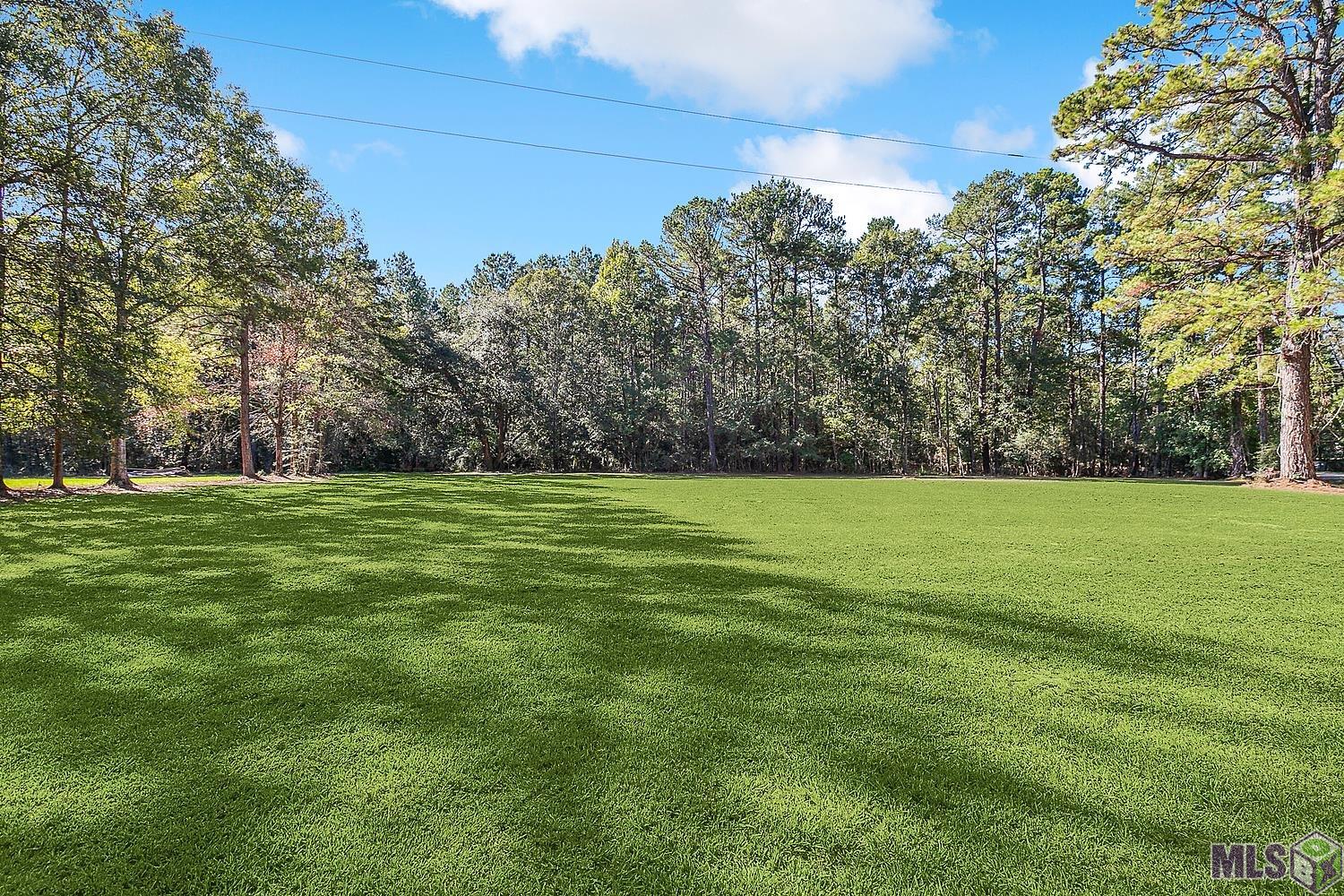 22324 Carson Road Greenwell Springs, LA 70739 - Photo 22 of 24 Gallery Image 22