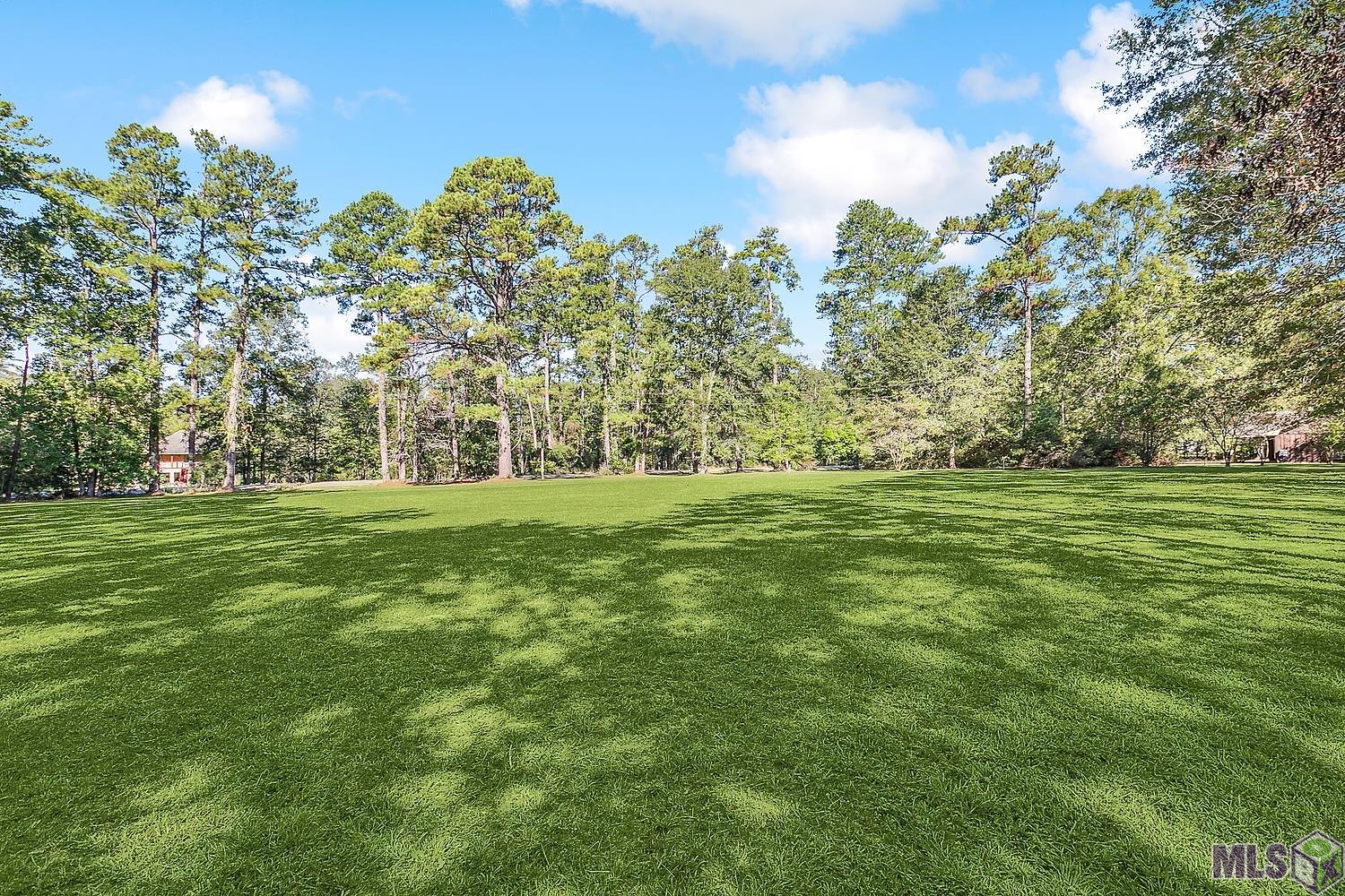 22324 Carson Road Greenwell Springs, LA 70739 - Photo 23 of 24 Gallery Image 23
