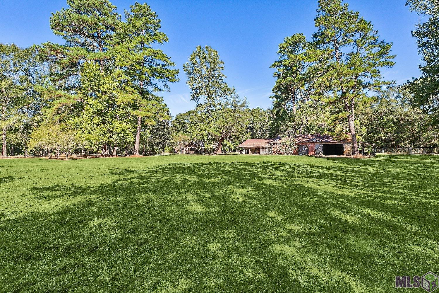 22324 Carson Road Greenwell Springs, LA 70739 - Photo 4 of 24 Gallery Image 4