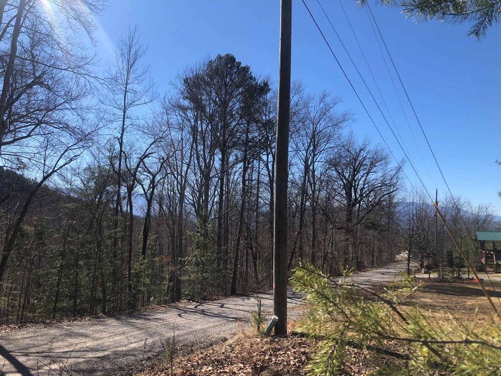 40 Hickory Tree Street Sevierville, TN 37876 - Photo 12 of 22