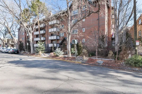 a view of road with large trees