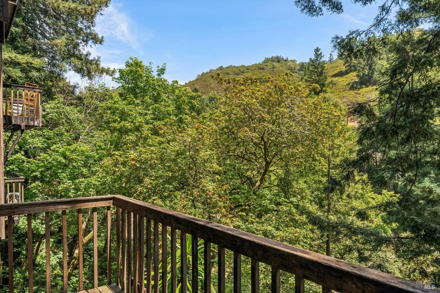 602 Ralston Avenue Mill Valley, CA 94941 - Photo 43 of 44