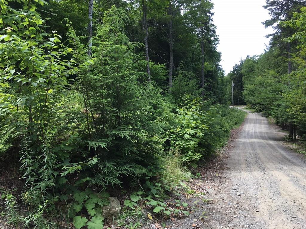 Lot 4 Gales Road Abbot, ME 04406 - Photo 16 of 16 Photo