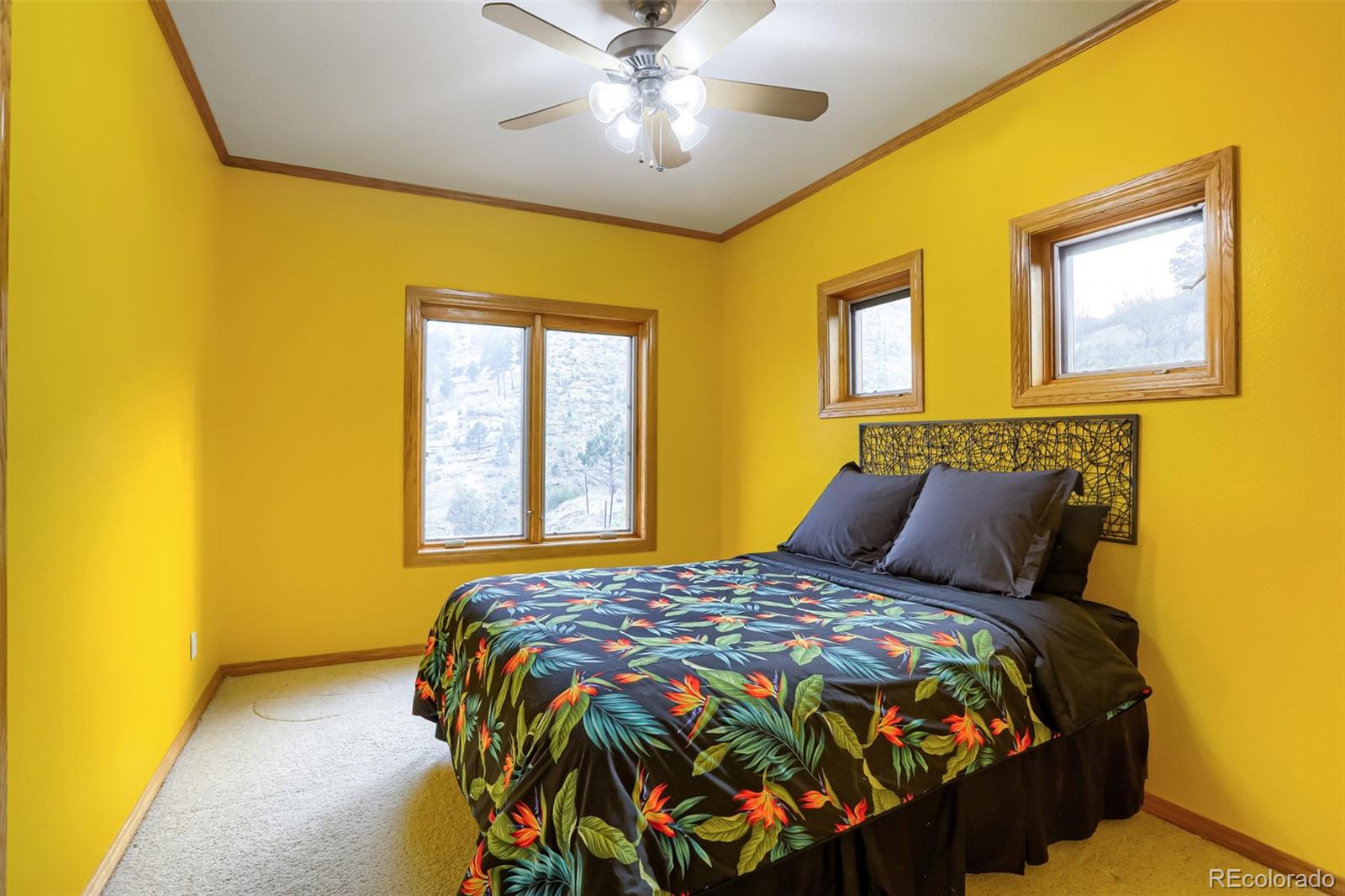15479 Ouray Road Pine, CO 80470 - Photo 27 of 40
