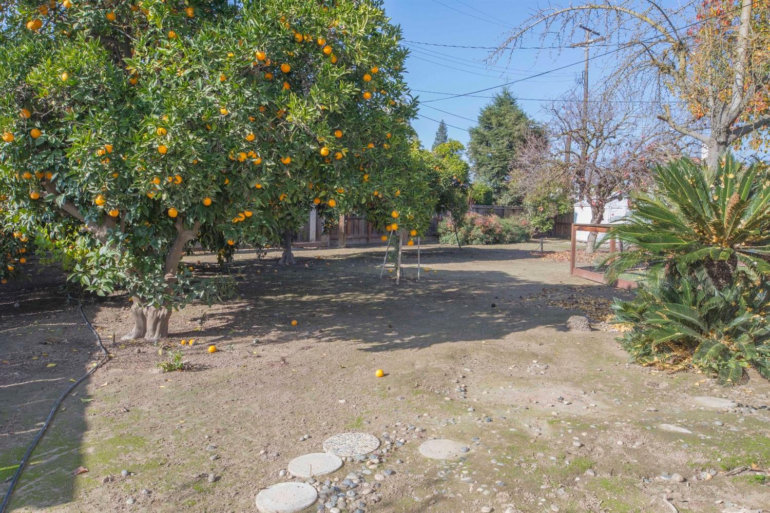 111 Flora Circle Reedley, CA 93654 - Photo 36 of 49