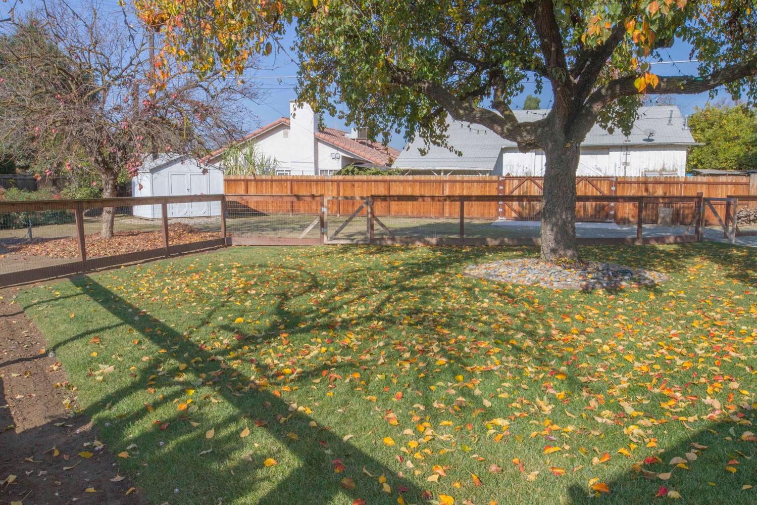 111 Flora Circle Reedley, CA 93654 - Photo 37 of 49