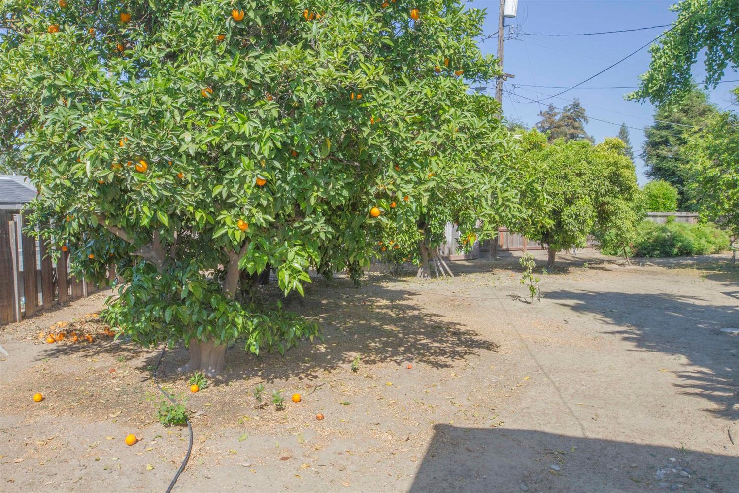 111 Flora Circle Reedley, CA 93654 - Photo 38 of 49