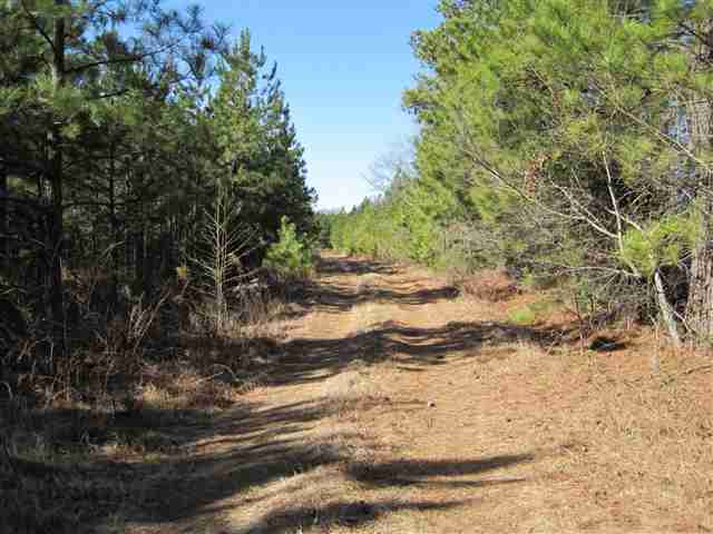 830 Dunklin Bridge Road Fountain Inn, SC 29644 - Photo 1 of 10 Gallery Image 1