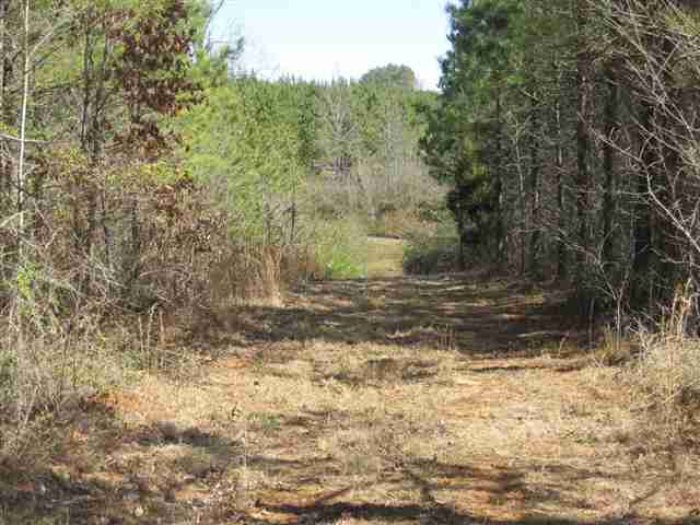 830 Dunklin Bridge Road Fountain Inn, SC 29644 - Photo 2 of 10 Gallery Image 2