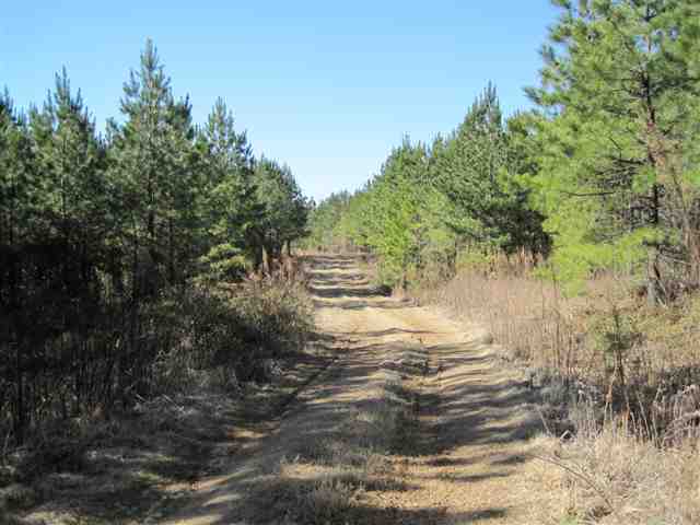 830 Dunklin Bridge Road Fountain Inn, SC 29644 - Photo 3 of 10 Gallery Image 3