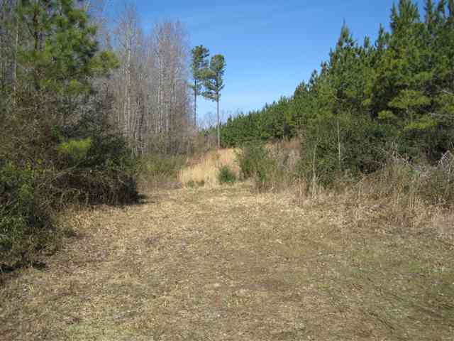 830 Dunklin Bridge Road Fountain Inn, SC 29644 - Photo 4 of 10 Gallery Image 4