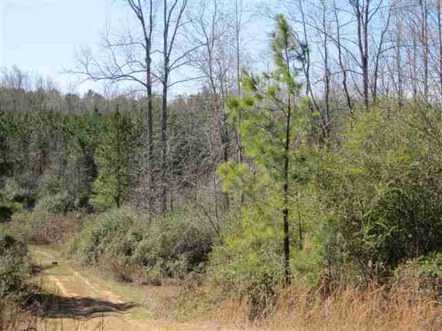 830 Dunklin Bridge Road Fountain Inn, SC 29644 - Photo 9 of 10 Gallery Image 9