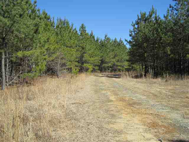 830 Dunklin Bridge Road Fountain Inn, SC 29644 - Photo 10 of 10 Gallery Image 10