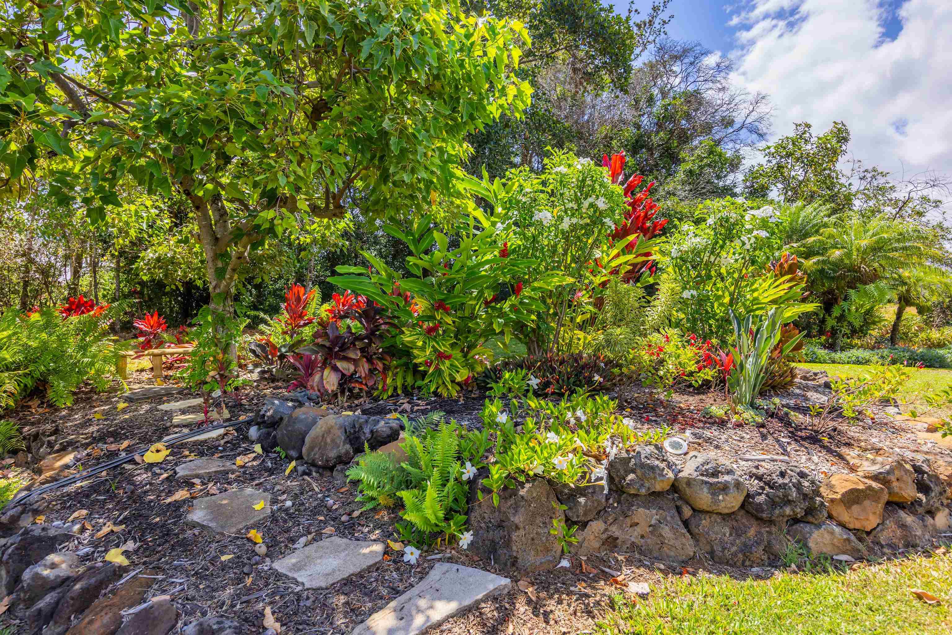 2625 Kokomo Road Haiku, HI 96708 - Photo 41 of 50 a view of a garden with flowers